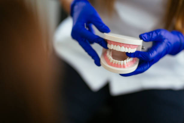  Columbus, IN Holistic Dental Services Pros